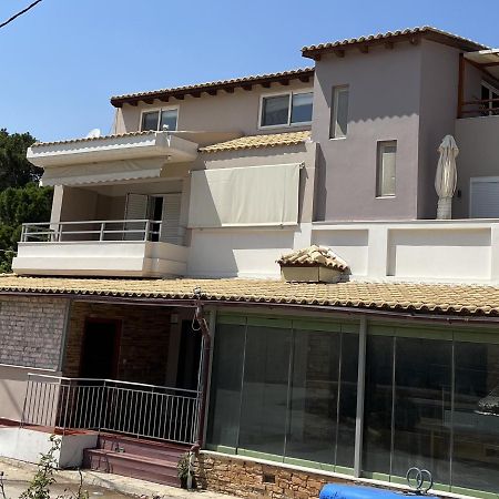 Georgios Apartments アルテミダ エクステリア 写真